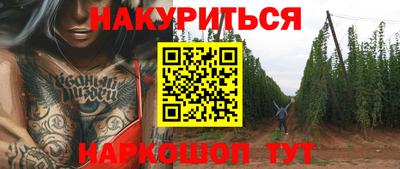 ALPHA PVP Гай