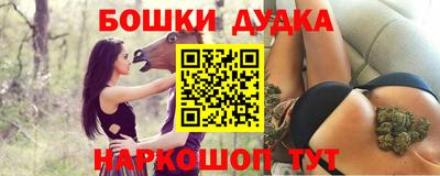 ALPHA PVP Гай