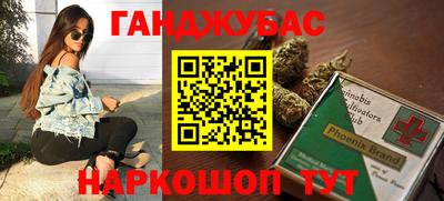ALPHA PVP Гай