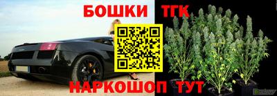 ALPHA PVP Гатчина