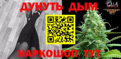 ALPHA PVP Гатчина