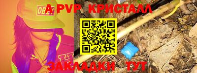 ALPHA PVP Гай